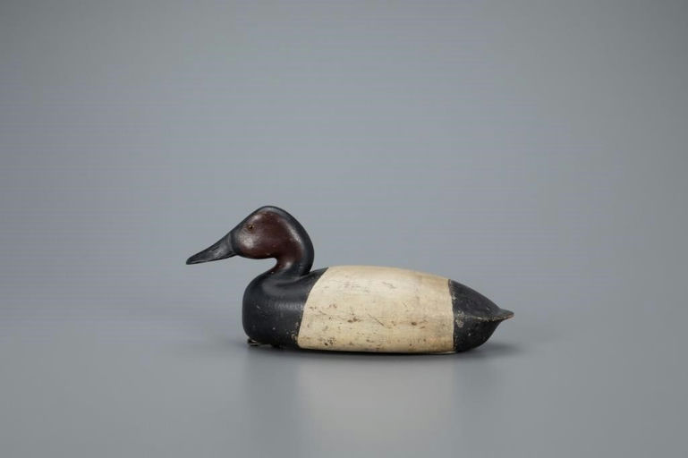 Charles Black – Canvasback Drake – 2020