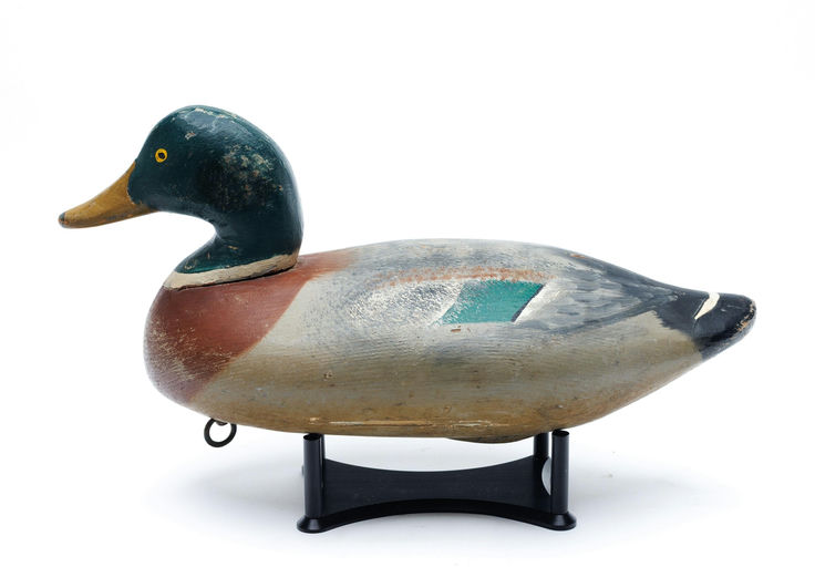 James Currier – Mallard – 2026