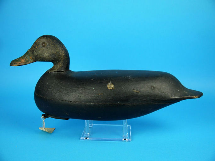 Eugene Hendrickson – Black Duck – 2026