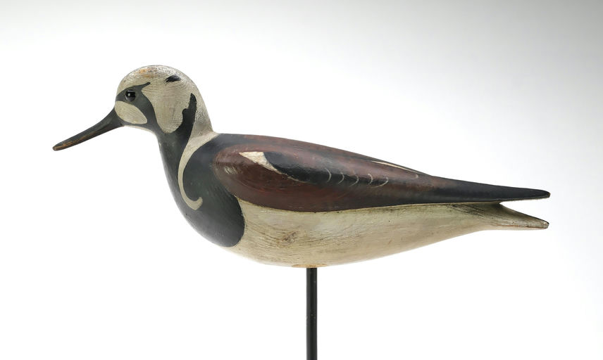 Mark McNair – Ruddy Turnstone – 2025