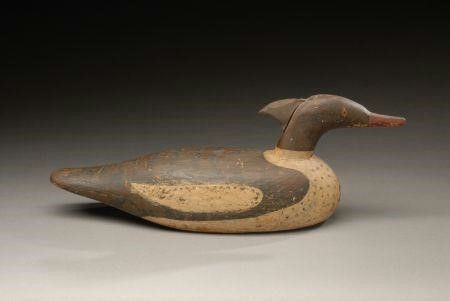 David S. Goodspeed – Folky Merganser Hen – 2007