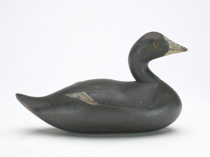 Mason Decoy Factory – Coot – 2023