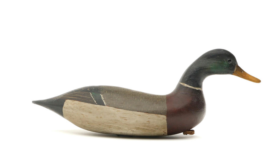 Bob White – Miniature Mallard – 2026