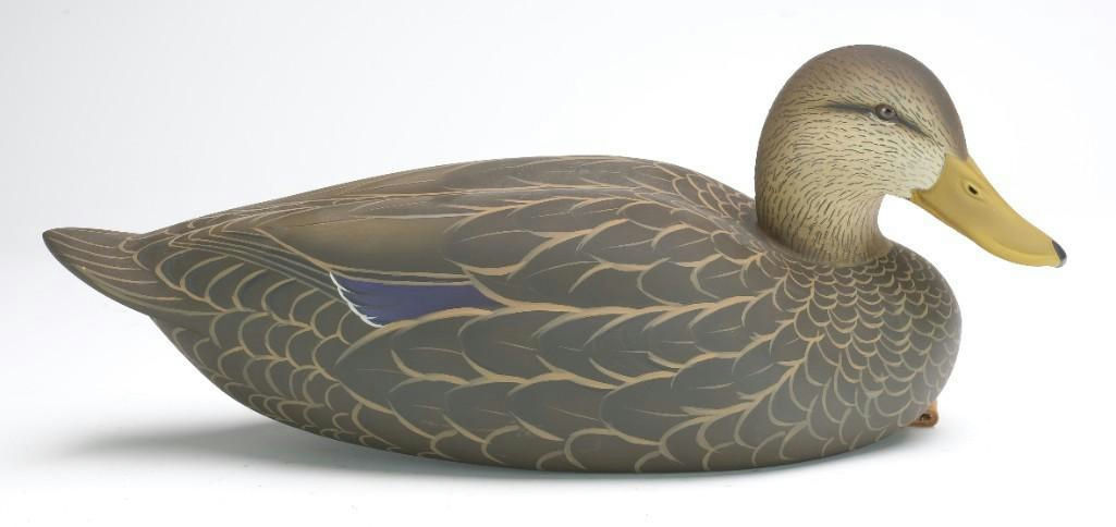 Tom Matus – Black Duck – 2023