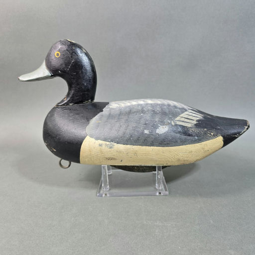 Jess Urie – Scaup – 2026
