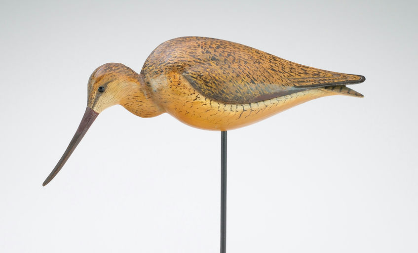 Bill Gibian – Godwit – 2024