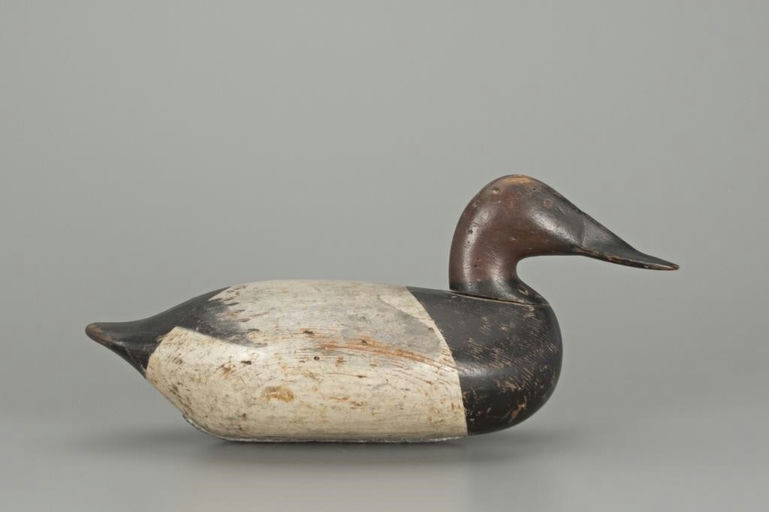John Daddy Holly – Canvasback Drake – 2018