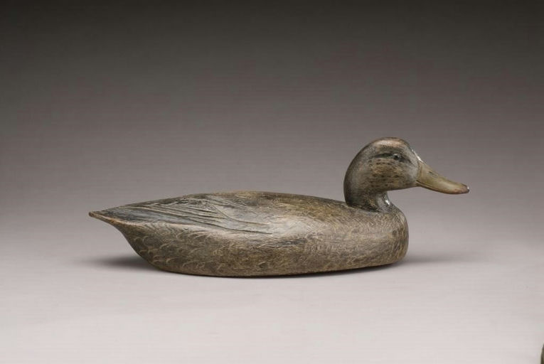 Ben Schmidt – Black Duck – 2010