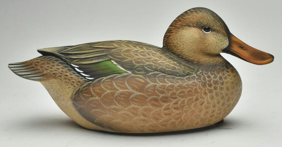 Sean Sutton – Shoveler Hen – 2022