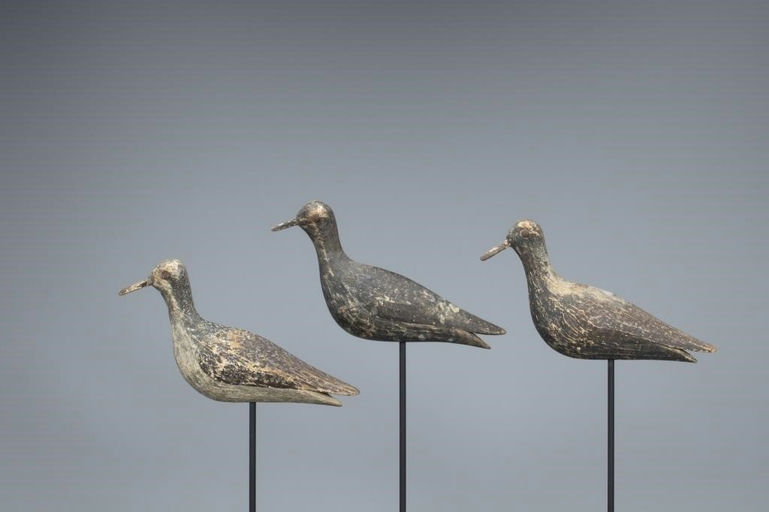 Joseph Lincoln – Rare Golden Plover Trio – 2019