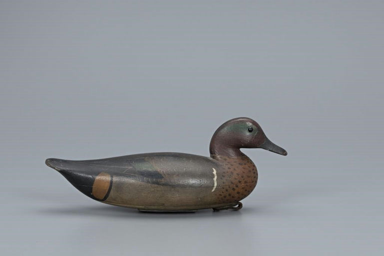 Mark McNair – Green-Winged Teal – 2019