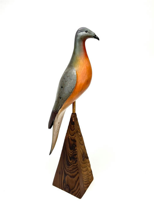 Spencer Tinkham — Passenger Pigeon
