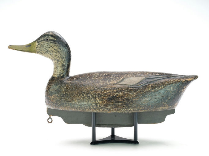 Ben Schmidt – Black Duck – 2025