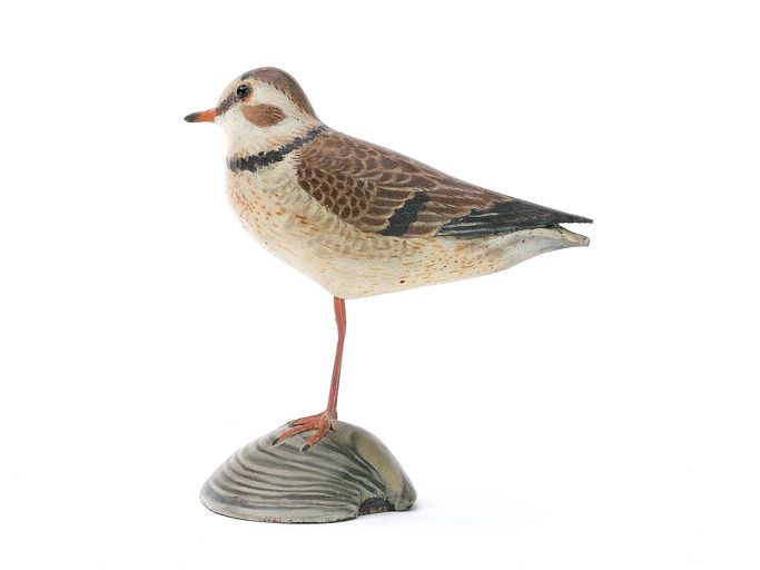 Elmer Crowell – Plover – 2025