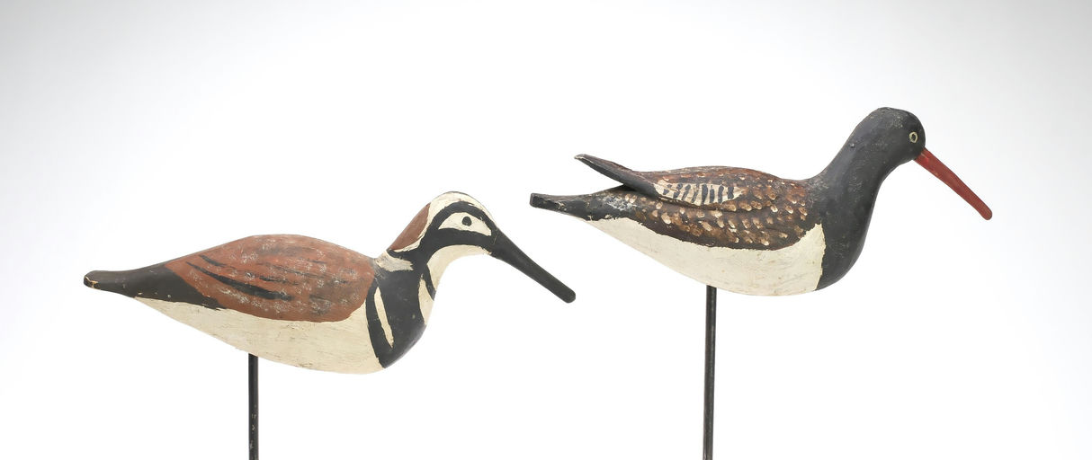 Miles Hancock – Oystercatcher – 2026
