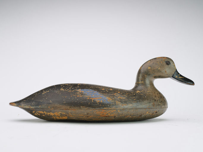 John Blair, Sr. – Blue-winged Teal – 2024