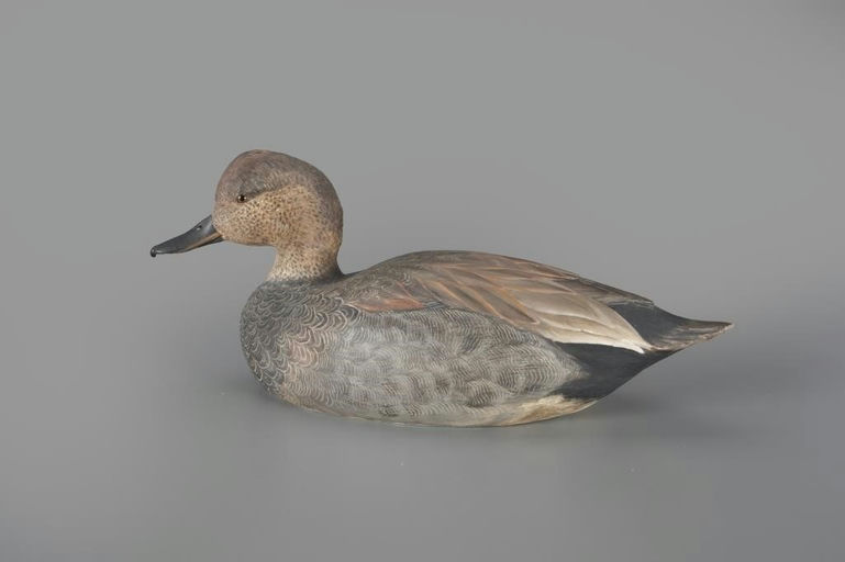 John Scheeler – Gadwall Drake – 2024