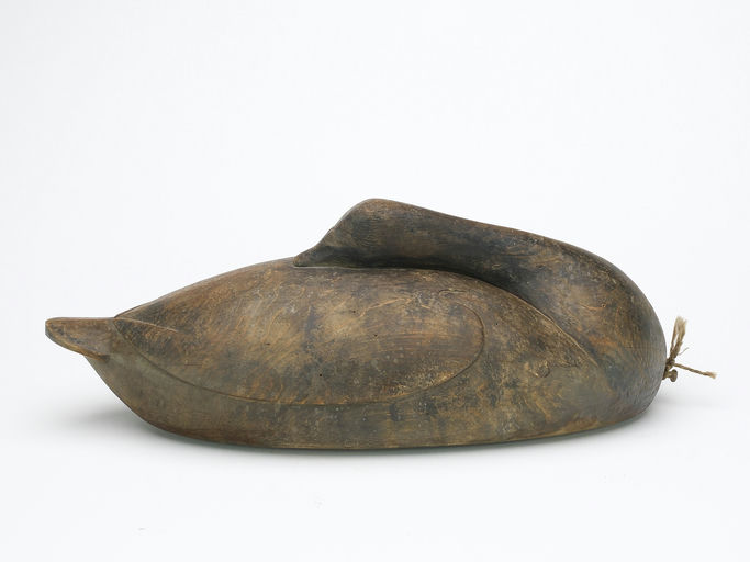 Cameron McIntyre – Sleeping Brant – 2024