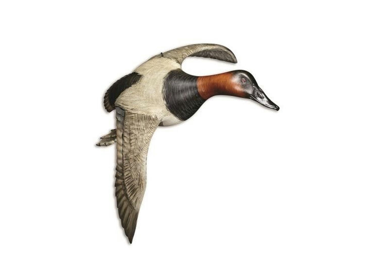 Mike Borrett – Flying Canvasback Pair – 2017