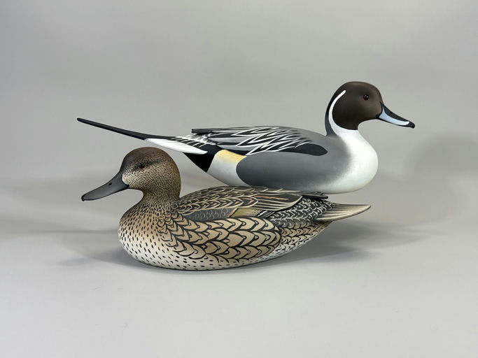 Oliver Lawson – Pintail – 2026