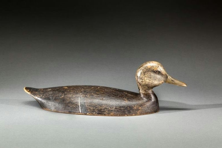 Harve Davern – Black Duck – 2015