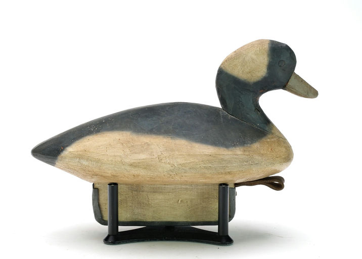 Pete Peterson – Bufflehead – 2025