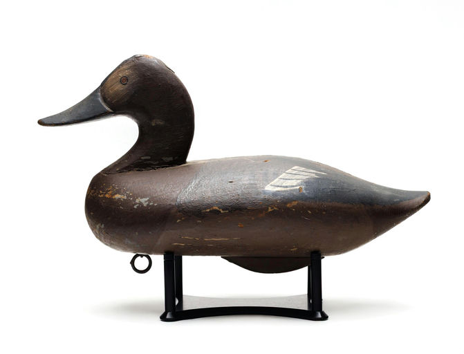 Jess Urie – Canvasback – 2026