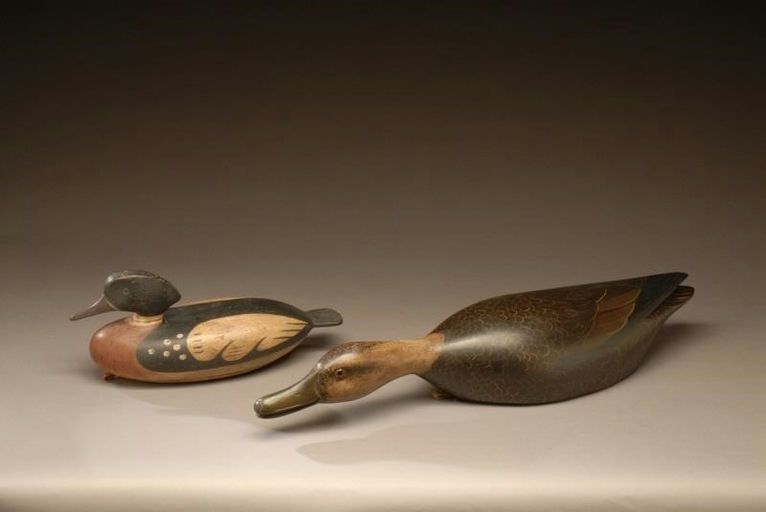 Frank Finney – Black Duck – 2008