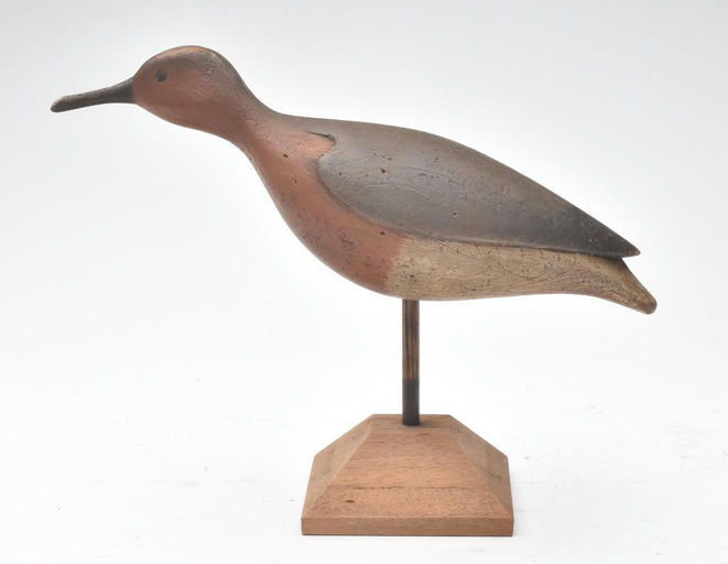 George Strunk – Red Knot – 2024