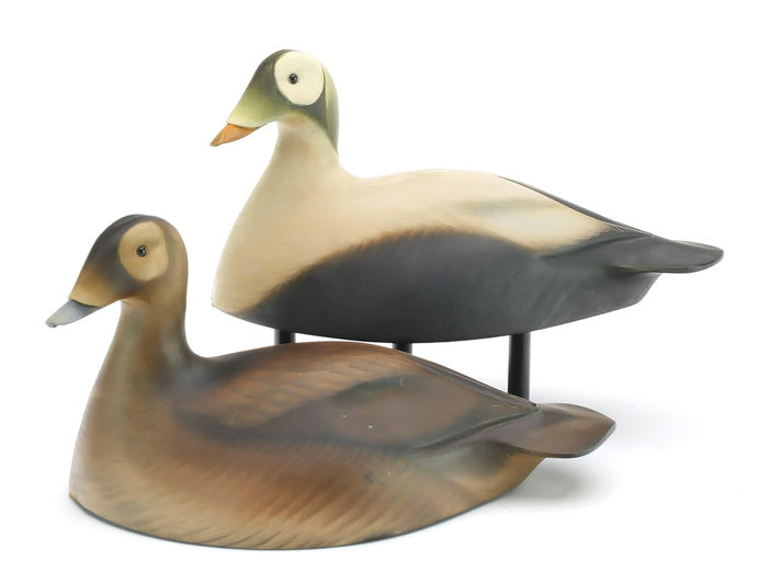Sean Sutton – Miniature Pair of Spectacled Eiders – 2024