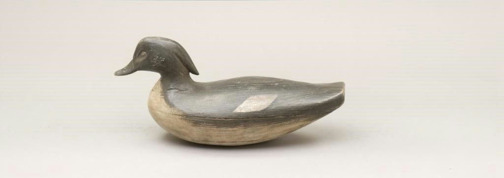 Brian Piccirillo – Wood Duck Hen – 2010