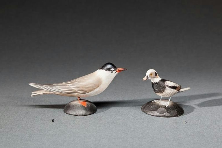 Elmer Crowell – Miniature Wilson's or Common Tern – 2015