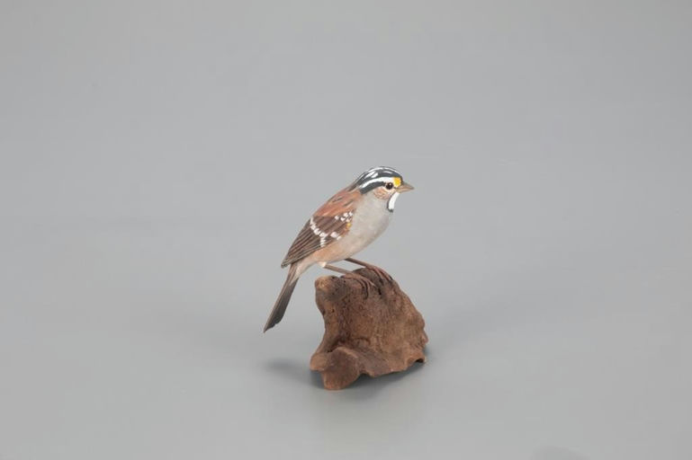 Jack and Bette Holt – White-throated Sparrow – 2021