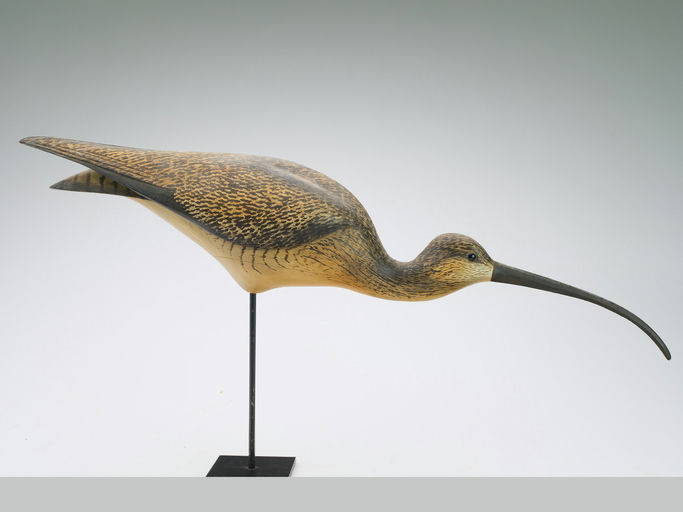 Bill Gibian – Curlew – 2024