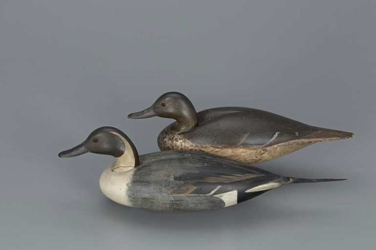 Shang Wheeler – Pintail Pair – 2019