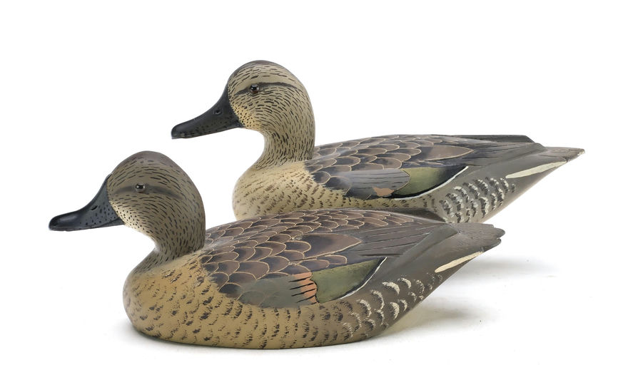 David W. Nichol – Green-winged Teal – 2025