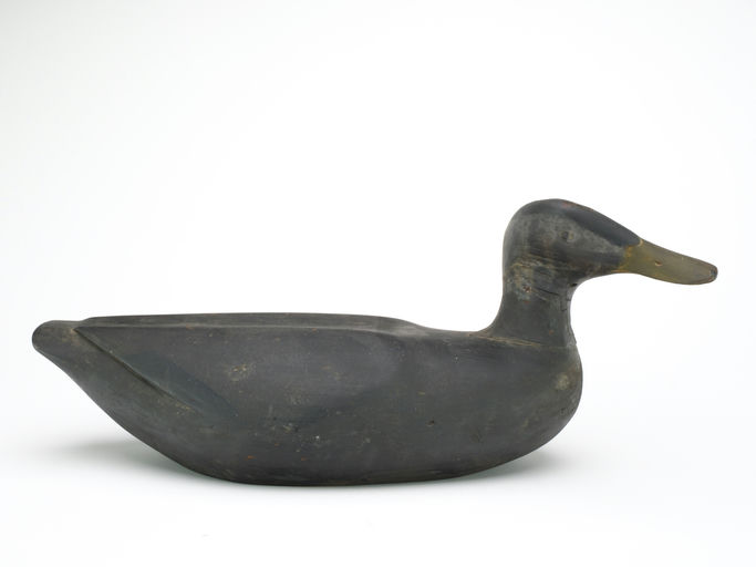 Gus Wilson – Black Duck – 2024