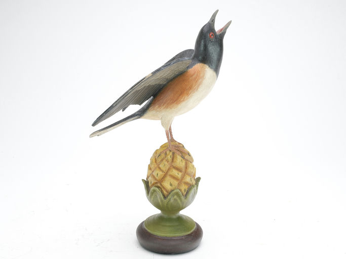 Frank Finney – Calling towhee – 2023