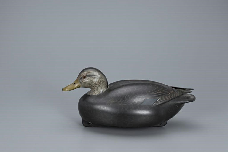 John McLoughlin – Black Duck – 2019