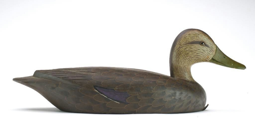 David W. Nichol – Black Duck – 2024