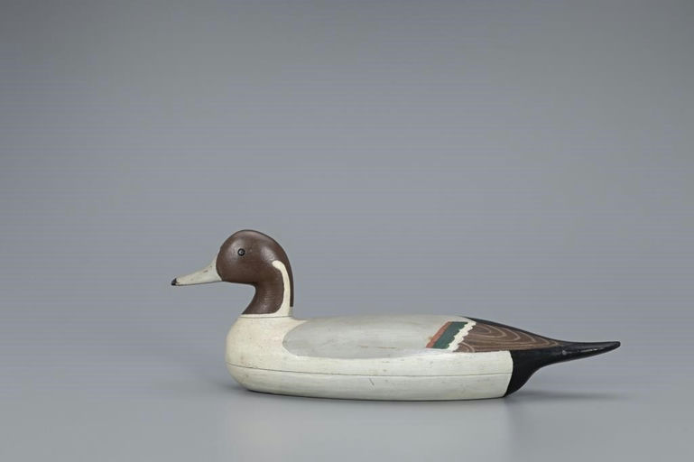 Leonard Pryor – Unrigged Pintail Drake – 2019