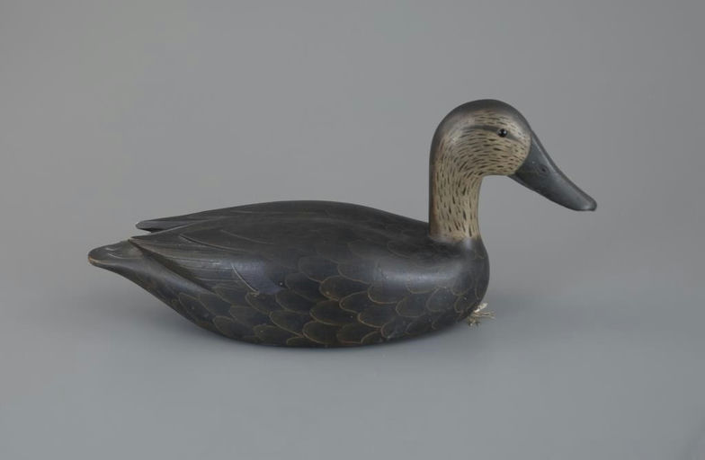 Bob Kerr – High-Head Black Duck – 2025
