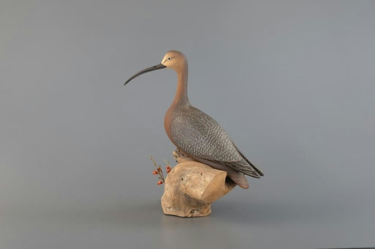 Walter J. Ruppel – Long-Billed Curlew – 2025