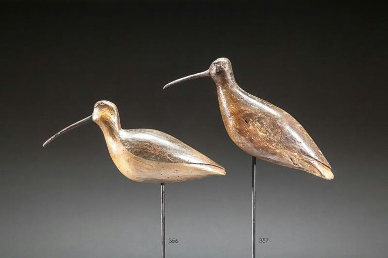 Eli Doughty – Running Curlew – 2016