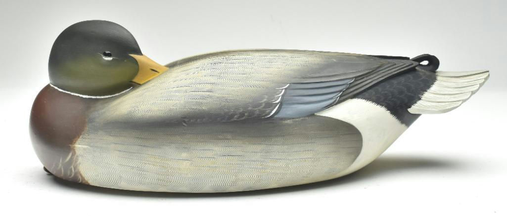 George Strunk – Sleeping Mallard – 2023
