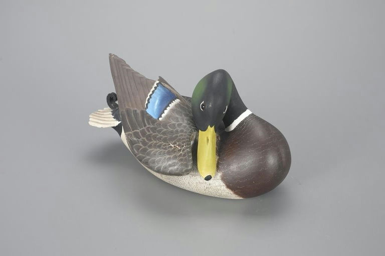 Ward Brothers – Preening Mallard – 2023