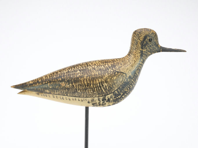 George Boyd – Black Bellied Plover – 2025
