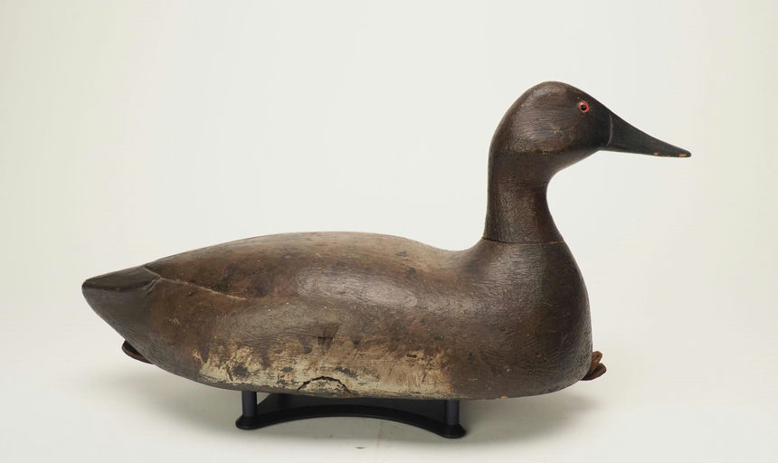 Ed Murphy — Canvasback Hen
