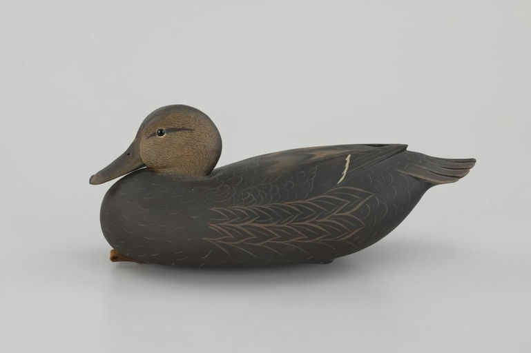 Bob White – Snuggle-Head Black Duck – 2026