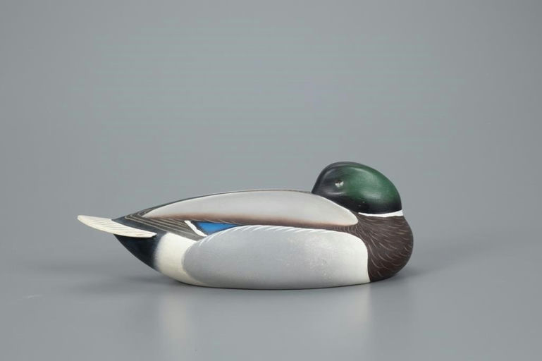 Oliver Lawson – Sleeping Mallard – 2020